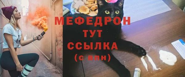 первитин Богданович