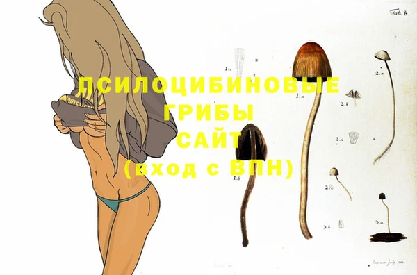 ГАЛЛЮЦИНОГЕННЫЕ ГРИБЫ Богородицк