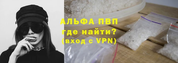 первитин Богданович