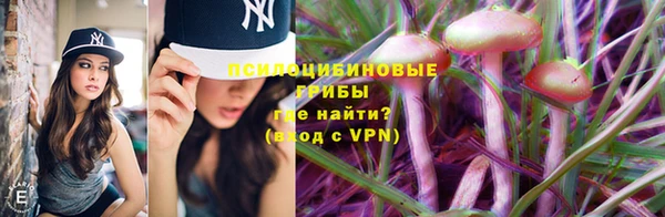МДМА Бородино