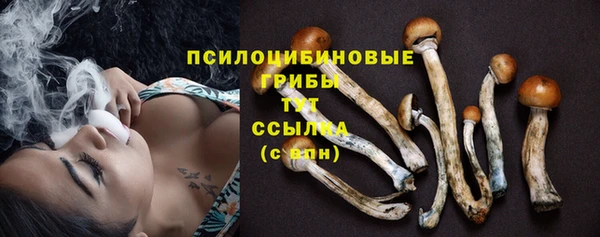ГАЛЛЮЦИНОГЕННЫЕ ГРИБЫ Богородицк