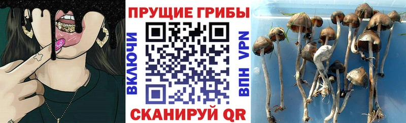 цены   Давлеканово  Галлюциногенные грибы мухоморы 
